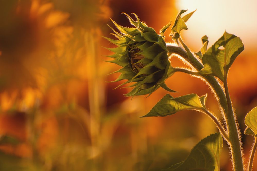 Photograph by Валерия Азамат