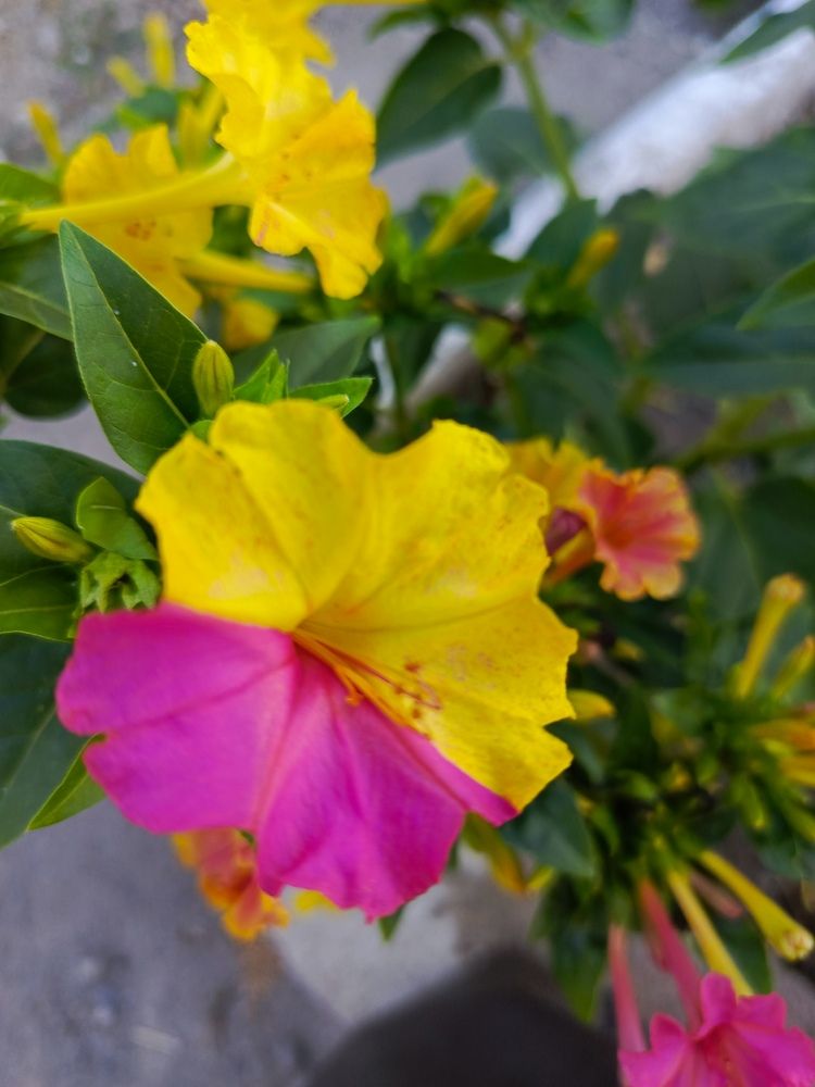 Фотография автора Татьяна Пальчикова