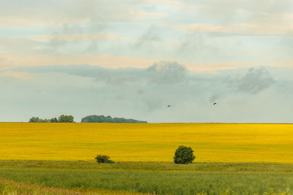 Photograph by Корчагина Оксана