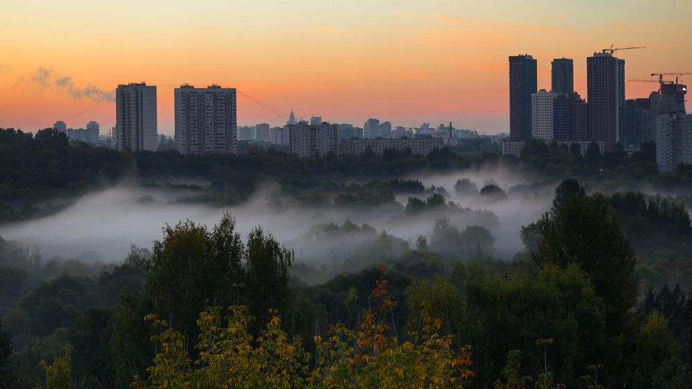 Photograph by Алексеев Сергей