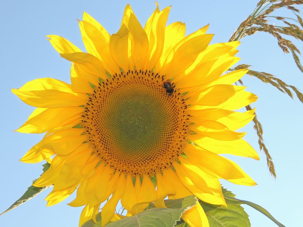 Photograph by Павел Кулинич