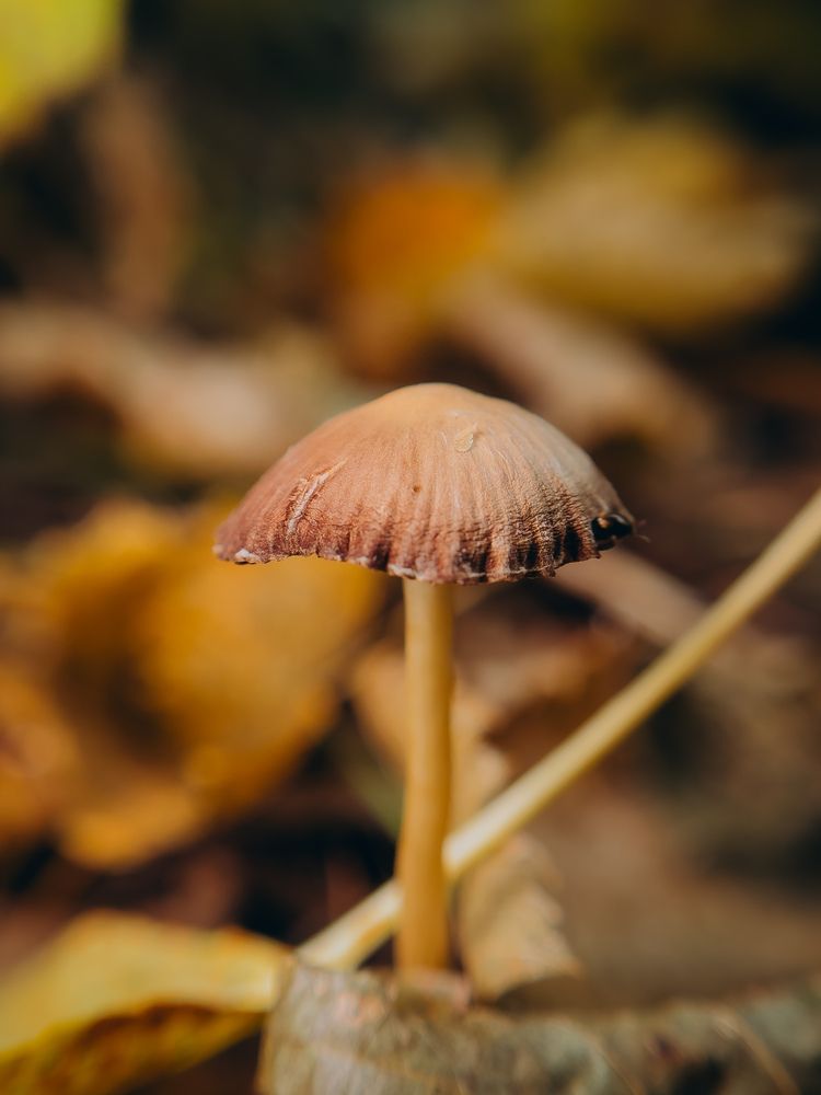 Photograph by Алёна Горошко