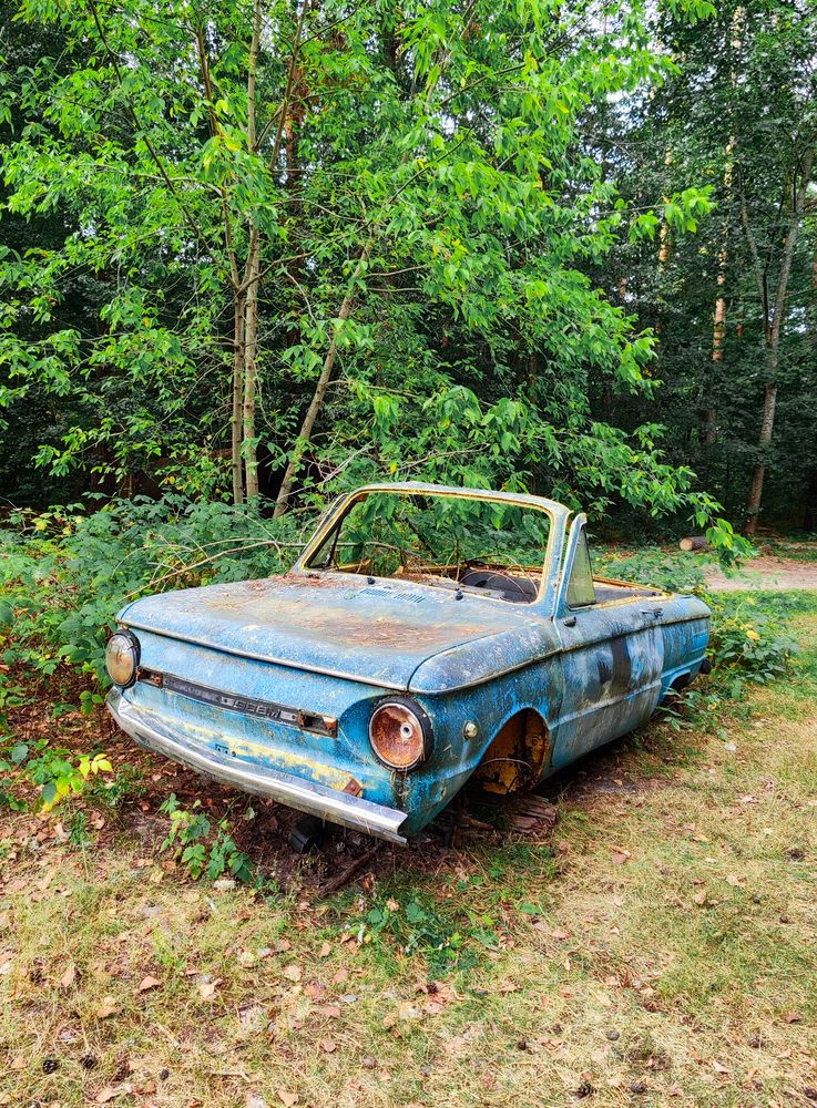 Фотография автора Алёна Подгорная