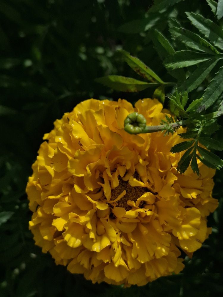 Photograph by Катерина Солдатова