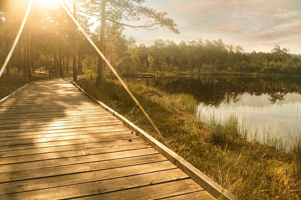 Photograph by Aiste Mickevic