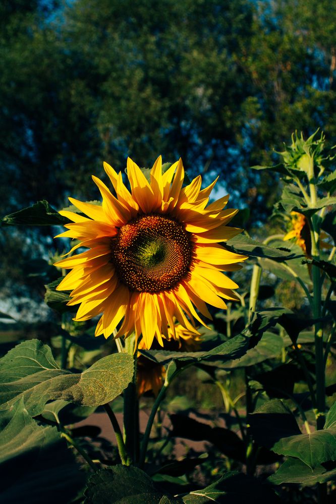 Photograph by Рената Тишина