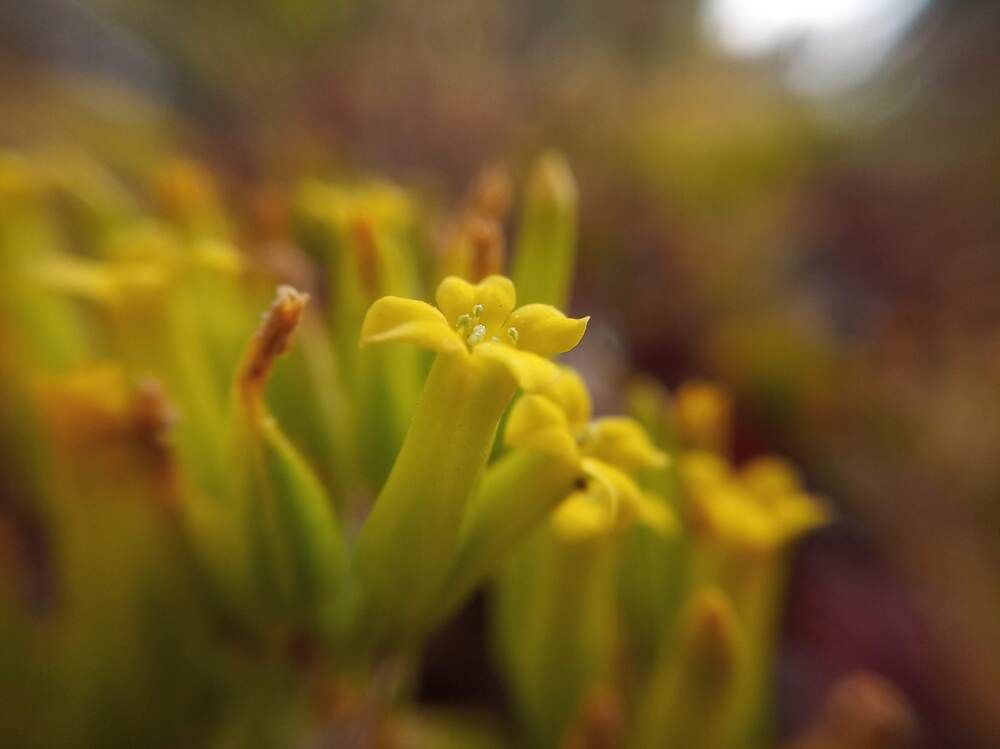 Фотография автора Adel elqamhawi Mohamed