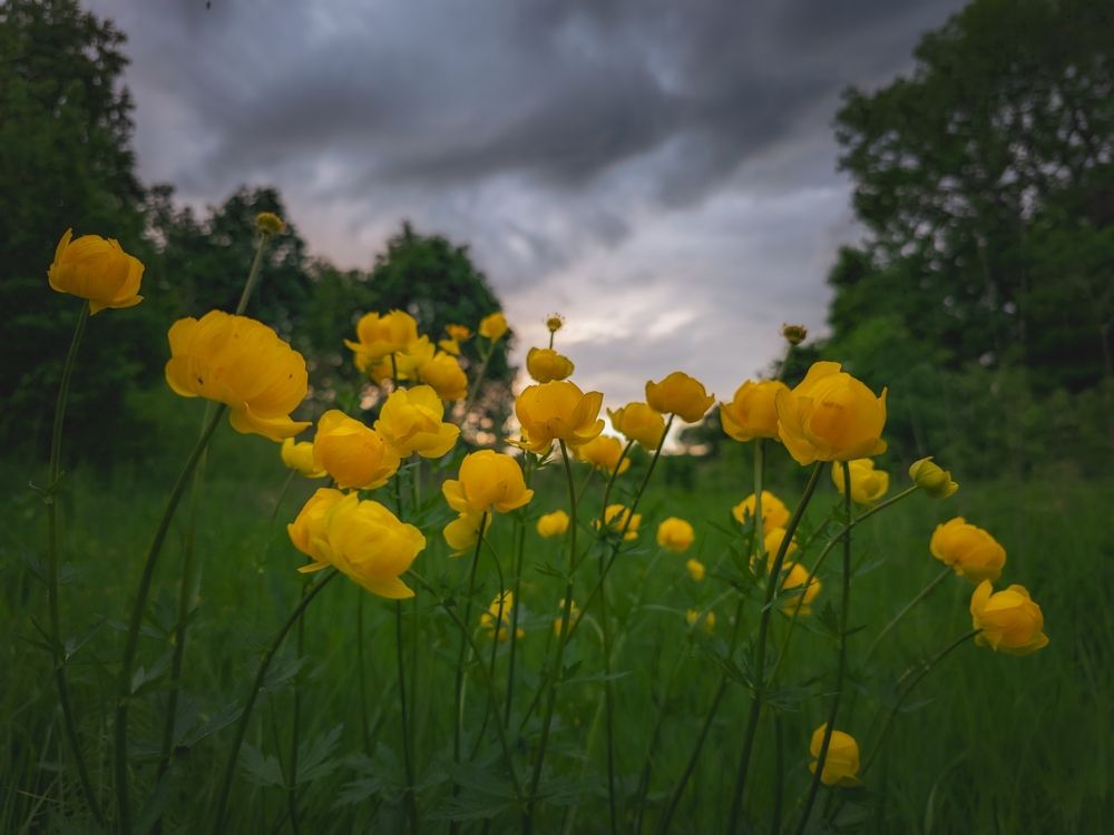 Photograph by Кирилл Сидоров