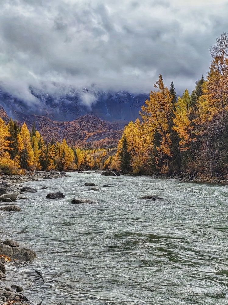 Photograph by Елена Павлова