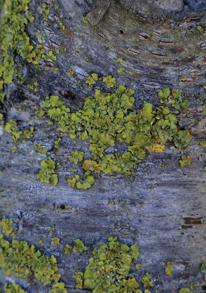 Photograph by Наиля Ахмедова