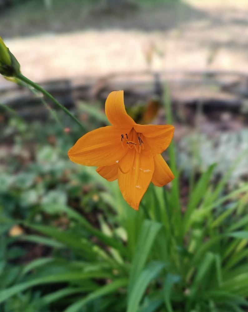 Photograph by Nikita Zorin