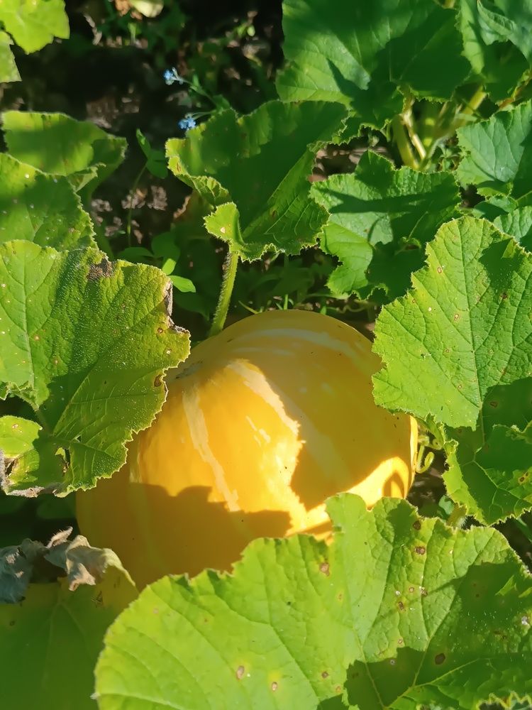 Photograph by Nikita Zorin