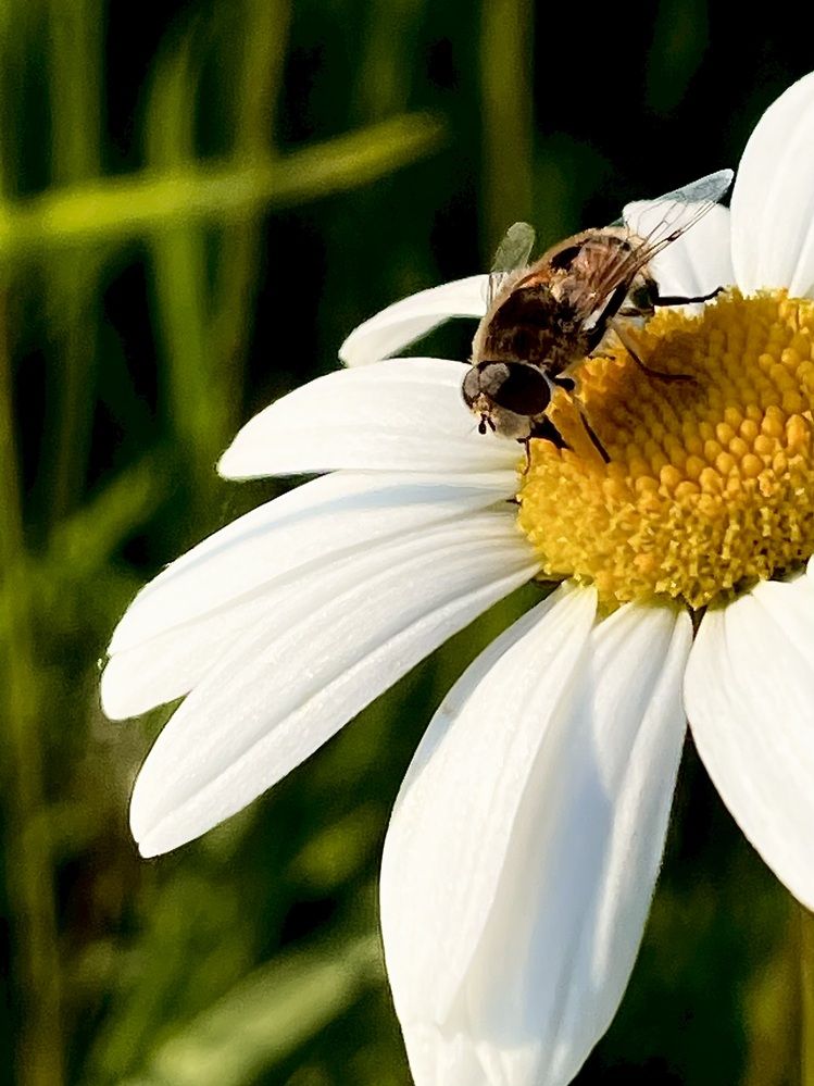 Photograph by Юлия