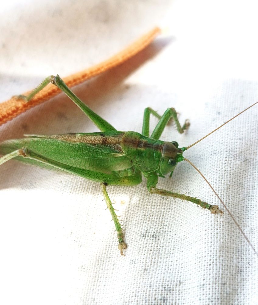 Photograph by Nikita Zorin