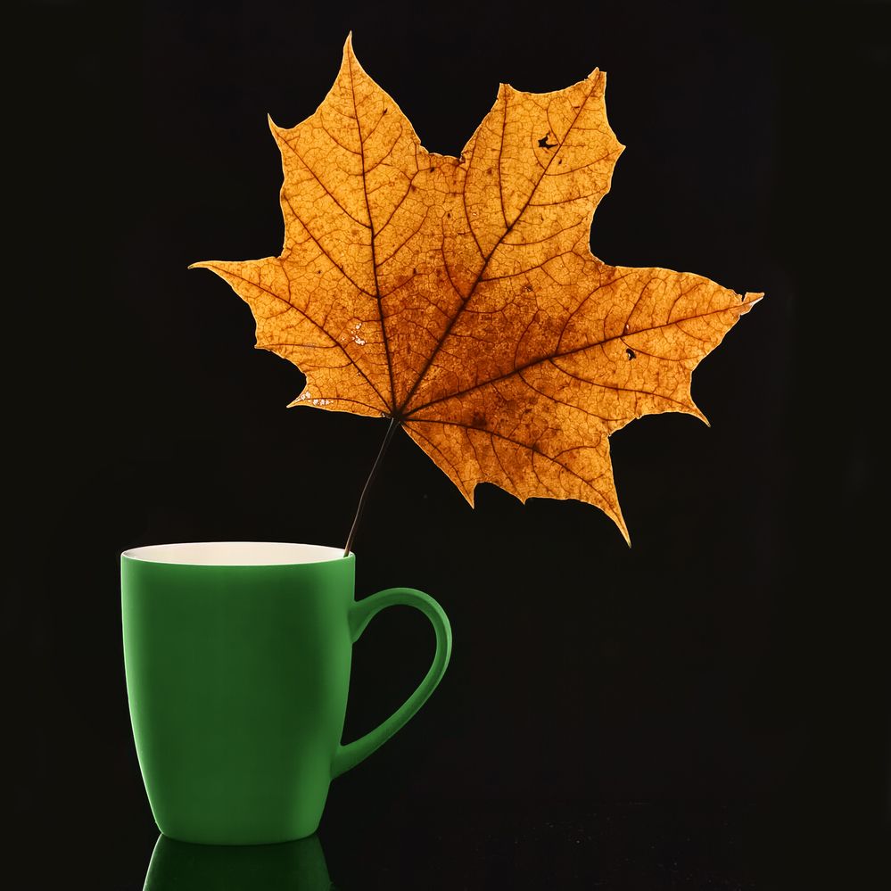 Photograph by Aleksandr Belov