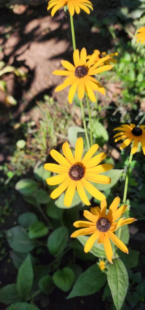 Photograph by Tatiana Denisova