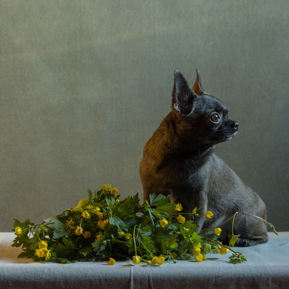 Photograph by Елена Осипова