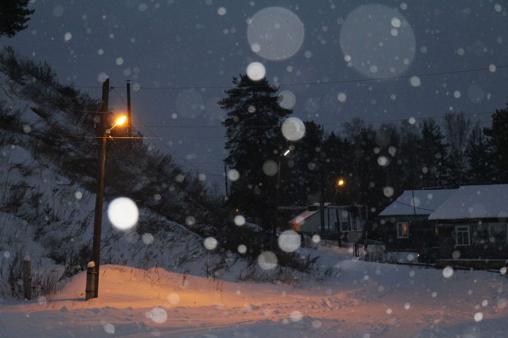 Фотография автора Полина Ишкина