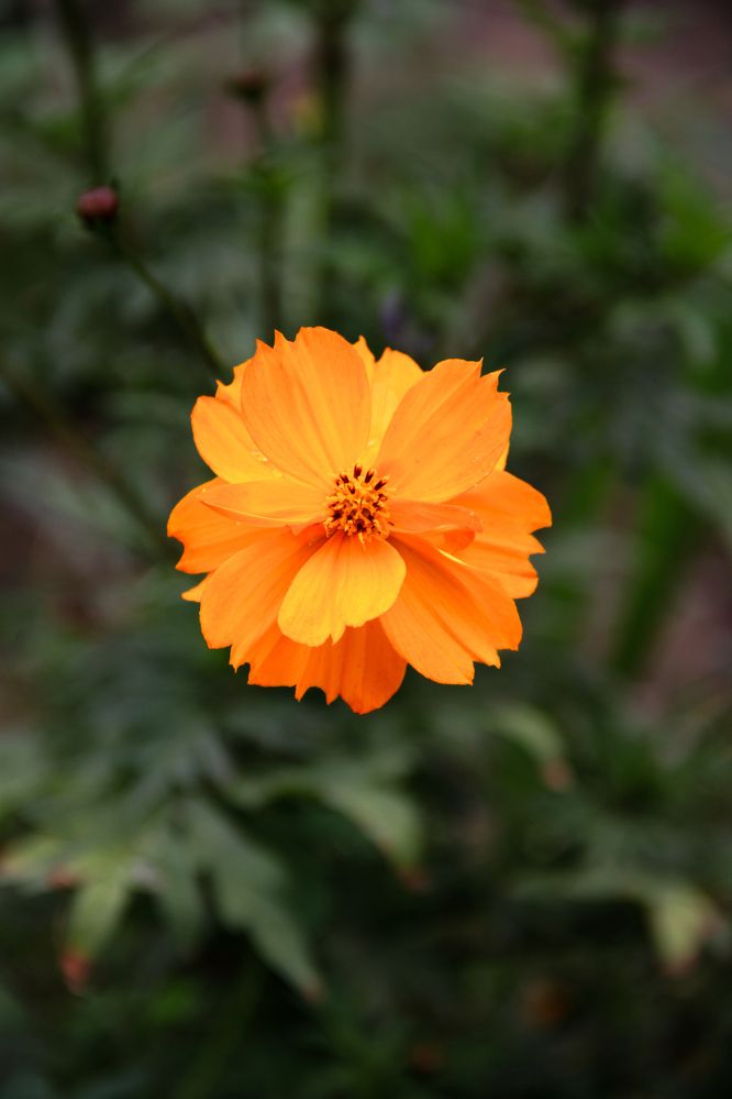 Фотография автора Владимир Ли