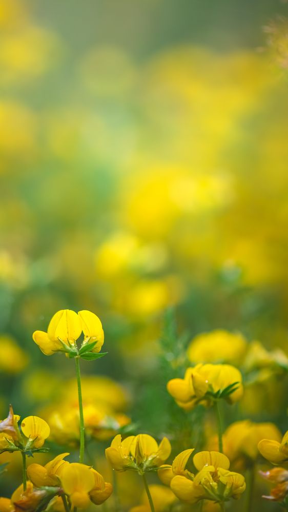 Photograph by Ольга Ильина