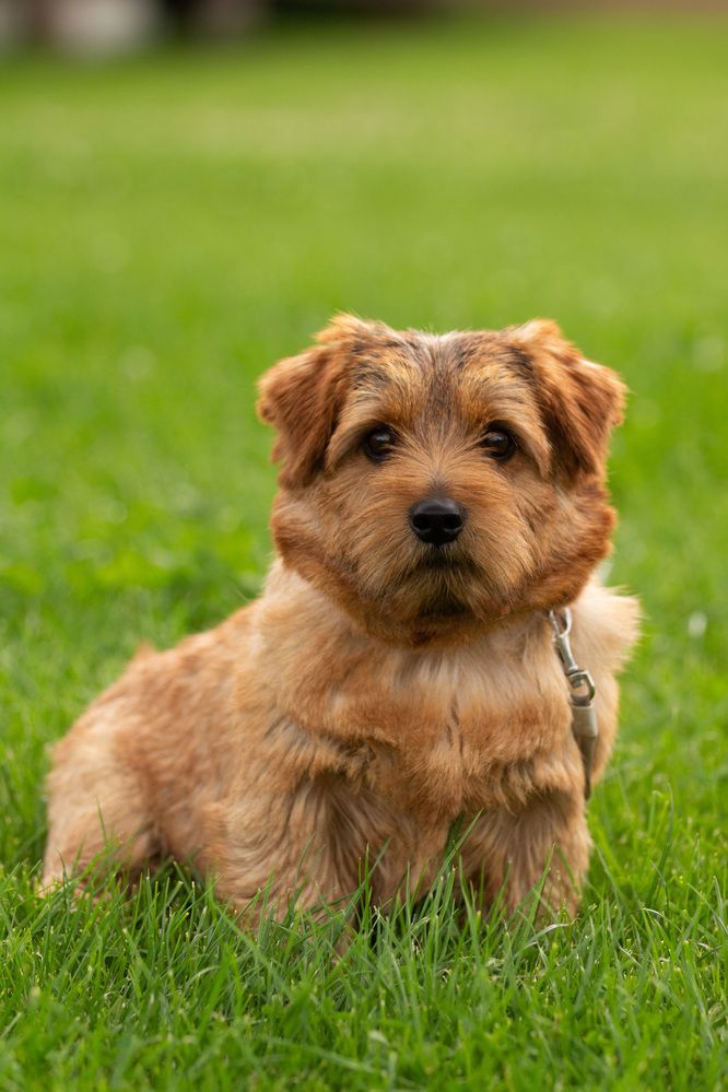 Фотография автора Полина Ишкина