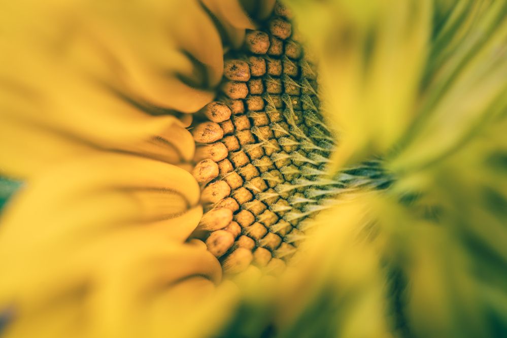 Photograph by Ольга Ильина