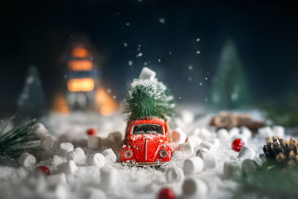 Фотография автора Ольга Ильина