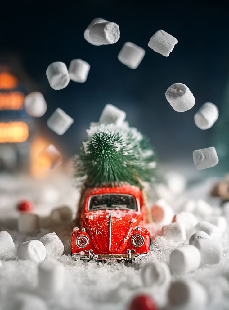 Фотография автора Ольга Ильина