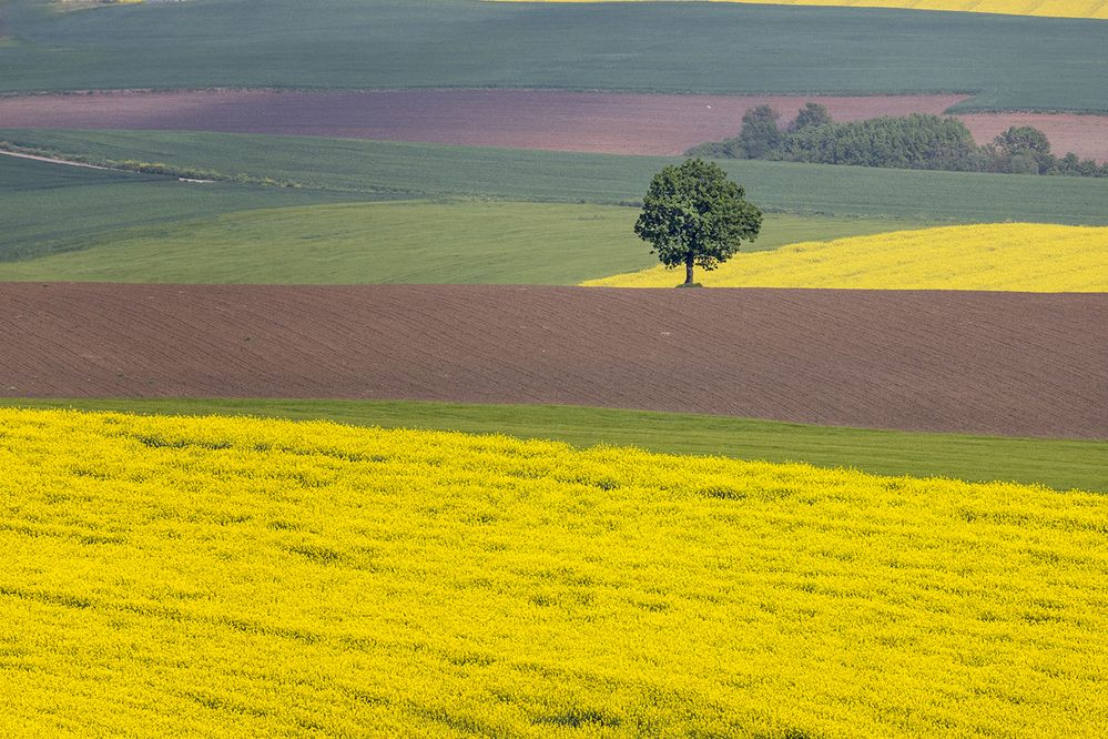 Photograph by Galip Çetiner