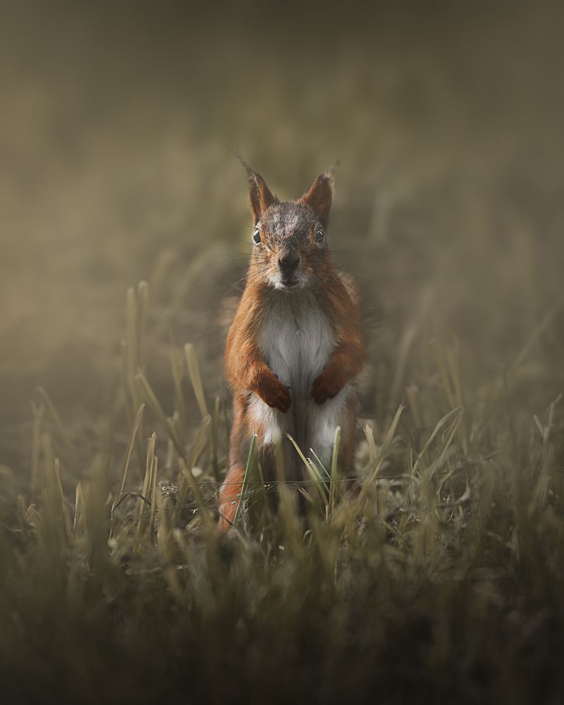 Photograph by Людмила Подольская