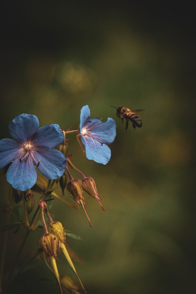 Photograph by Владимир Лавров