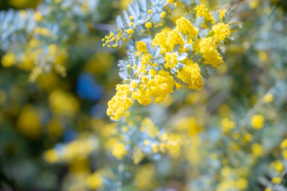 Photograph by kurodon