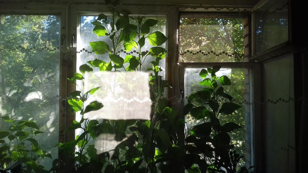 Photograph by Галина Петрушенко
