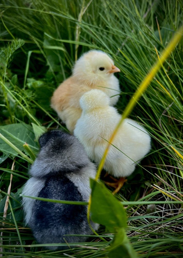 Photograph by Марина Козлова