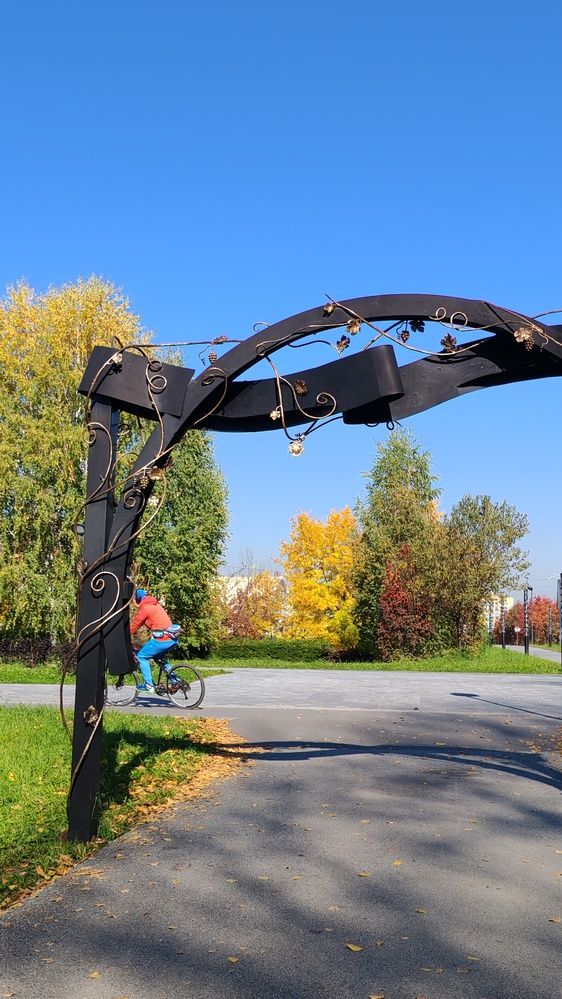 Фотография автора Наталья Шендяпина