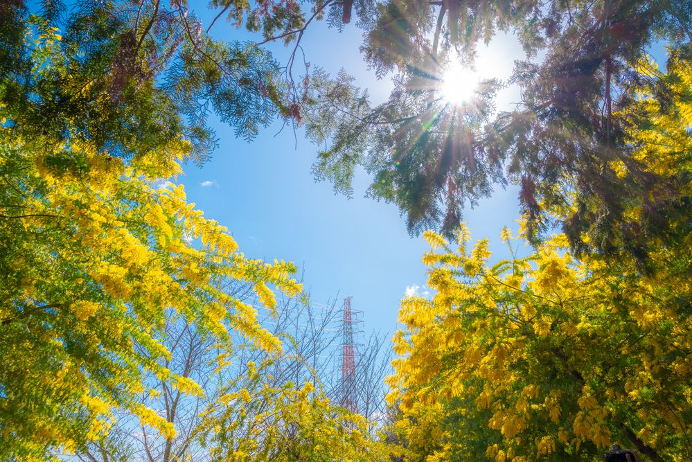 Photograph by kurodon