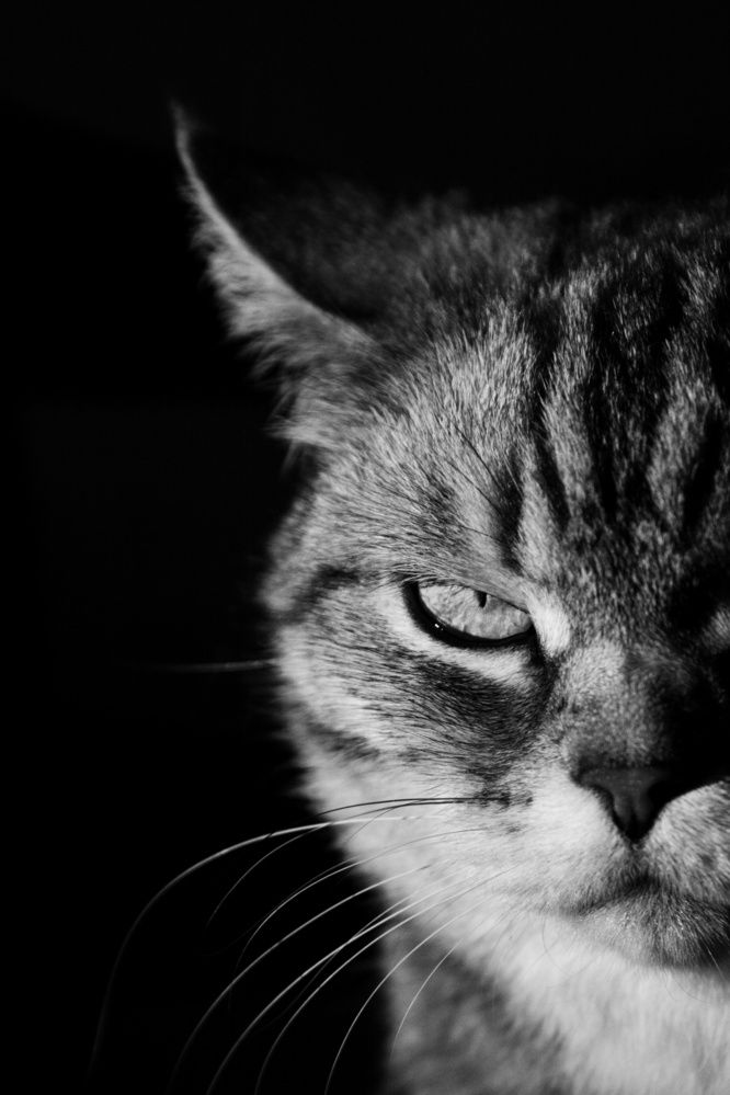 Photograph by Рената Тишина