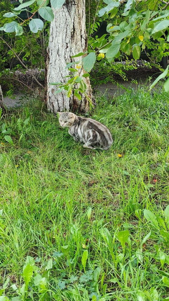 Фотография автора Наталья Шендяпина