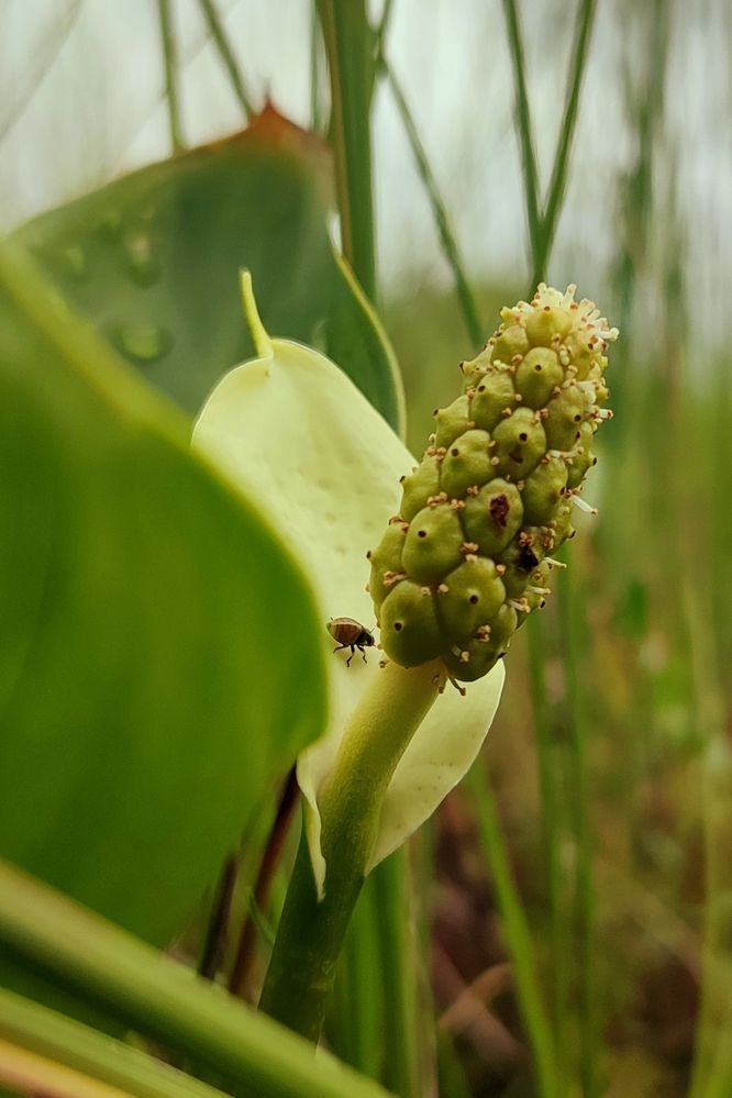 Фотография автора Валерий Жданов