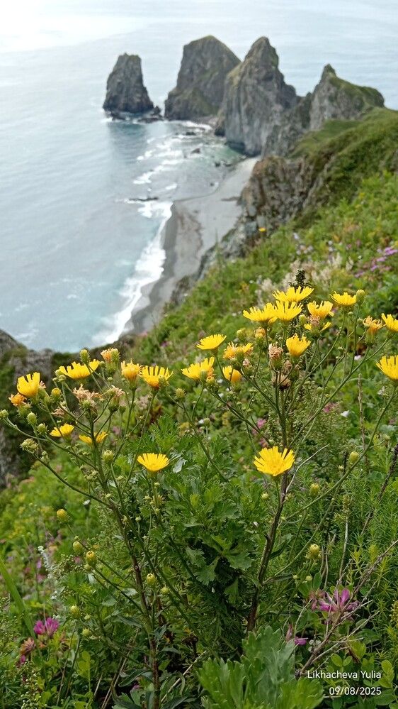 Photograph by Юлия Лихачева