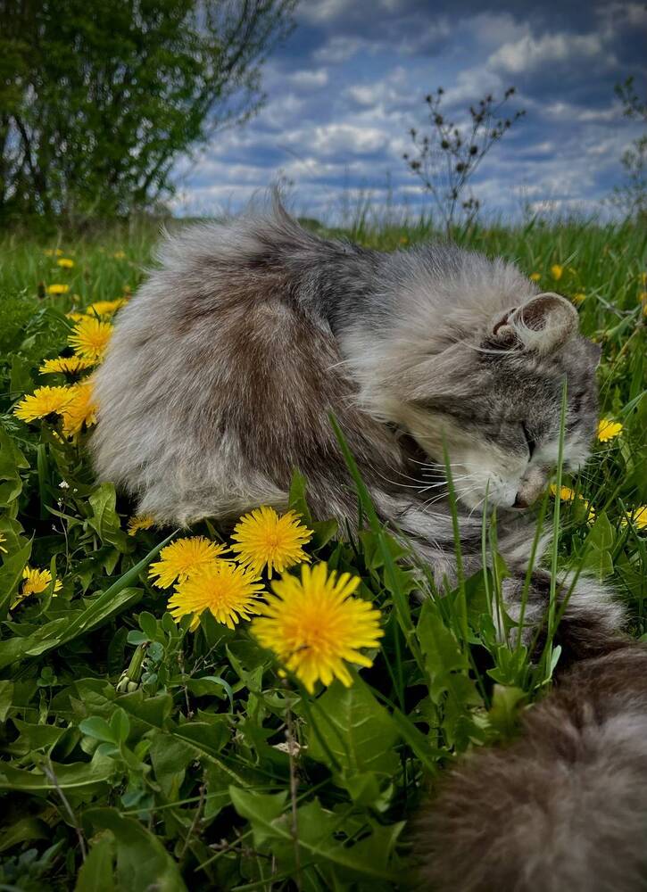 Photograph by Марина Козлова