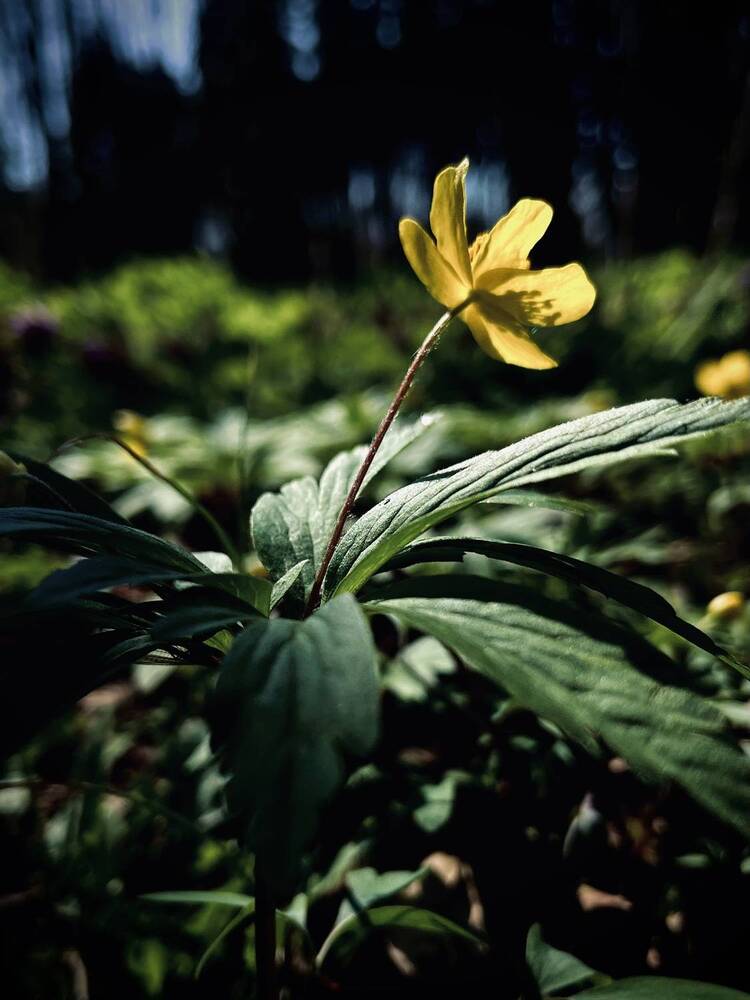 Photograph by Марина Козлова