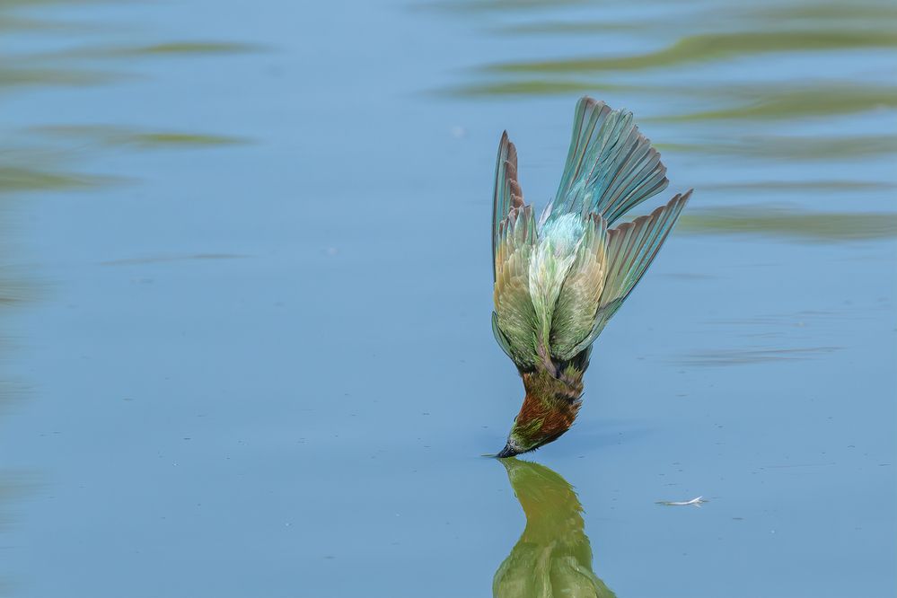 Photograph by Eren Aksoylu