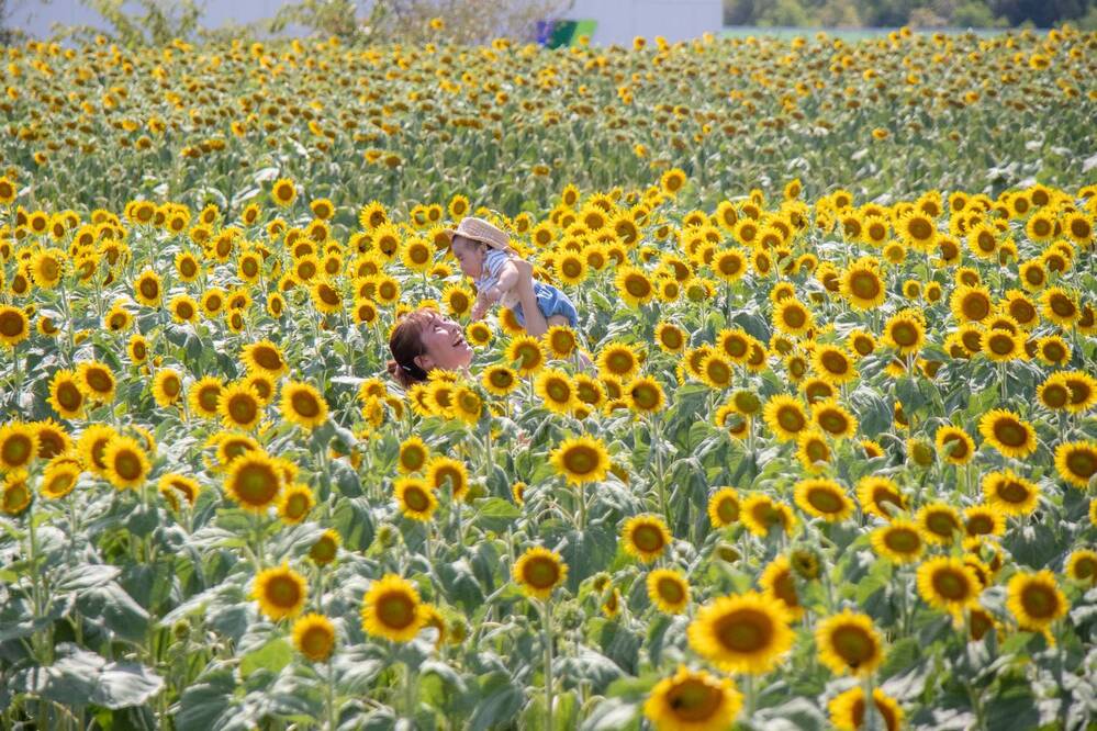 Photograph by kurodon