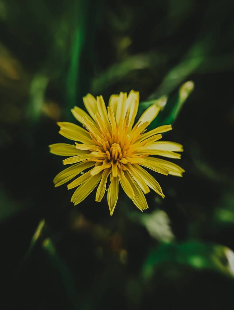 Photograph by Светлана Таркан