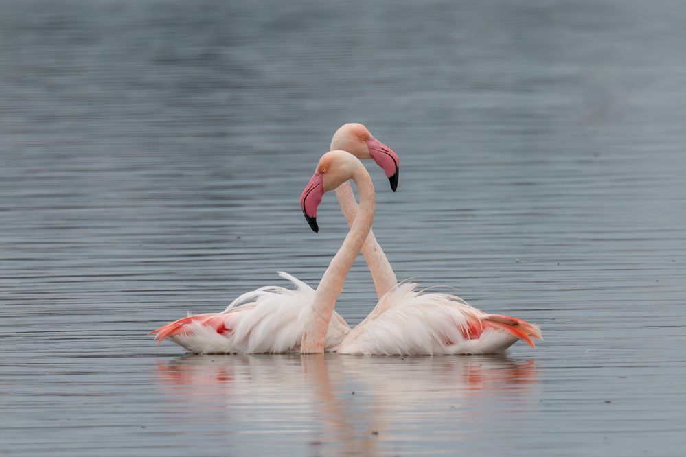 Photograph by Eren Aksoylu