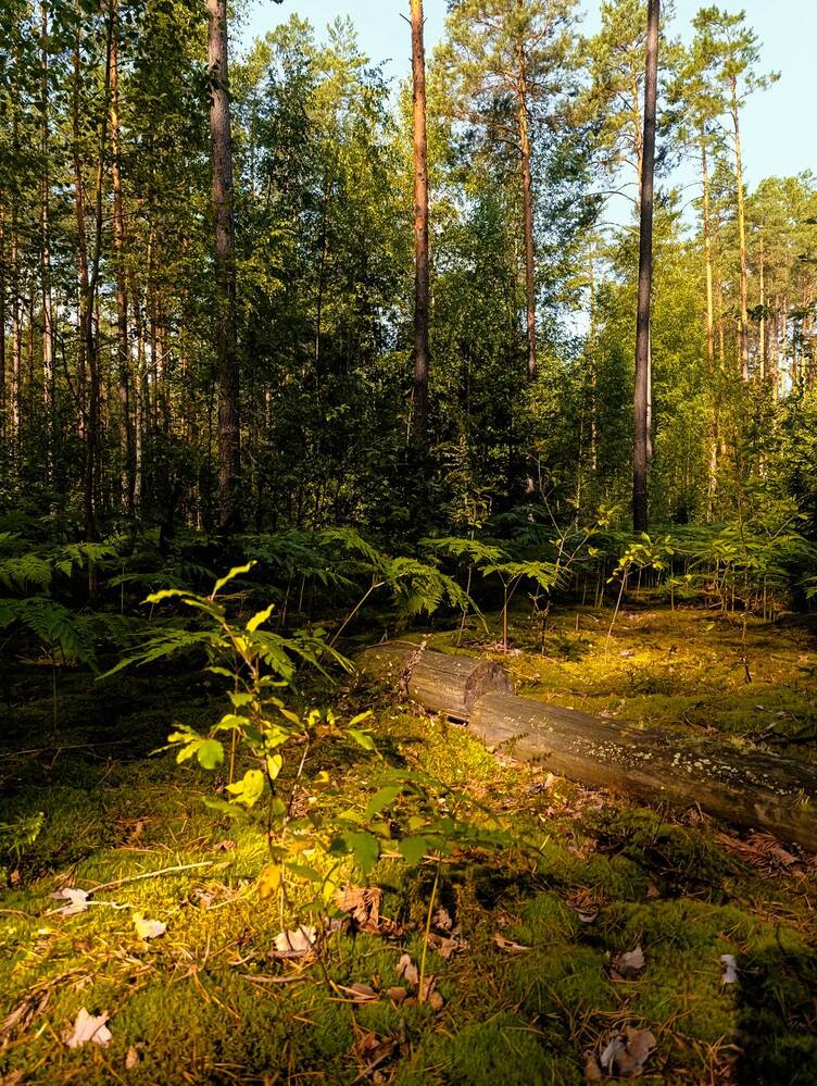 Photograph by Светлана Таркан