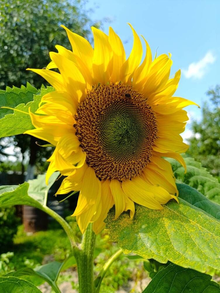 Photograph by Светлана Таркан