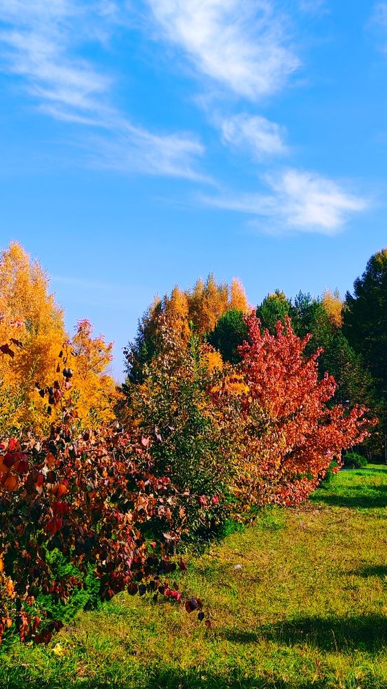Фотография автора Наталья Шендяпина
