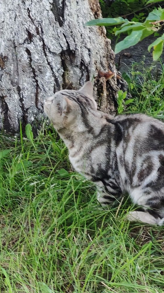 Фотография автора Наталья Шендяпина
